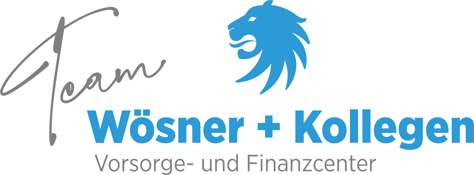 Original-Logo Team W&ouml;sner + Kollegen, Vorsorge- und Finanzcenter